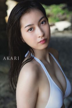 法网柔情电视剧